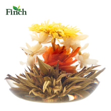 Finch Nouvelle Chine Green Blooming Minceur Thé Feng Wu Jiu Tian